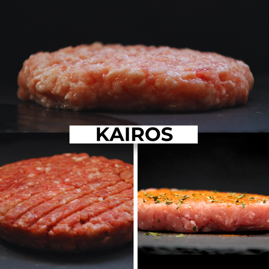 LOTE hamburguesas mixtas